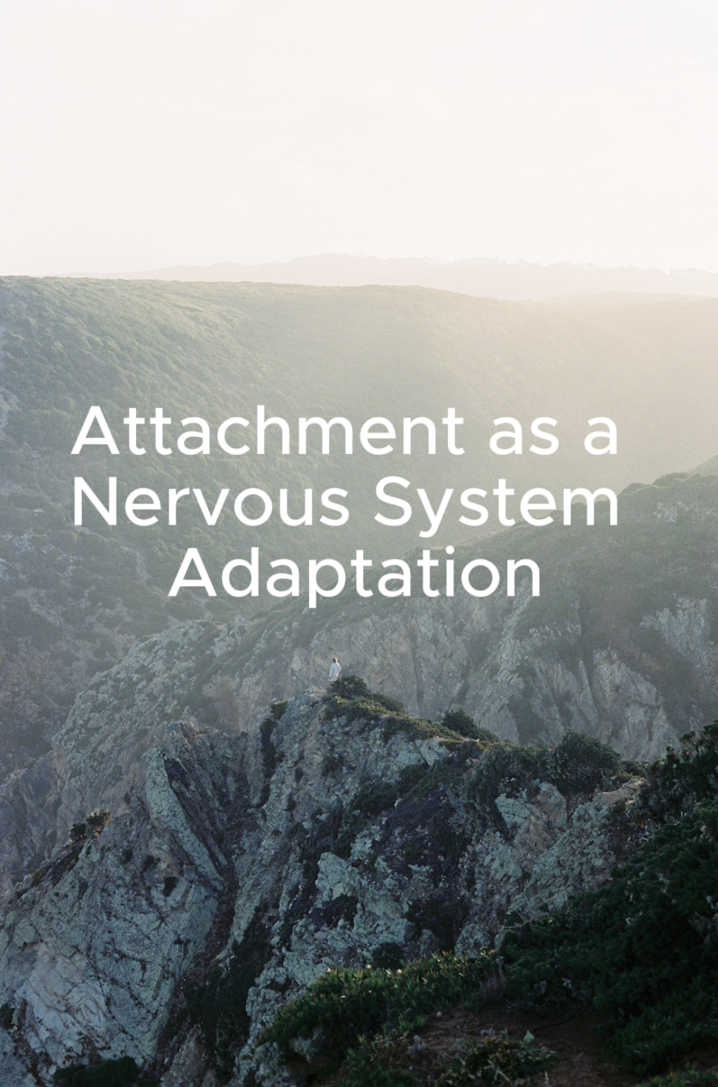 attachment guide for nervous system