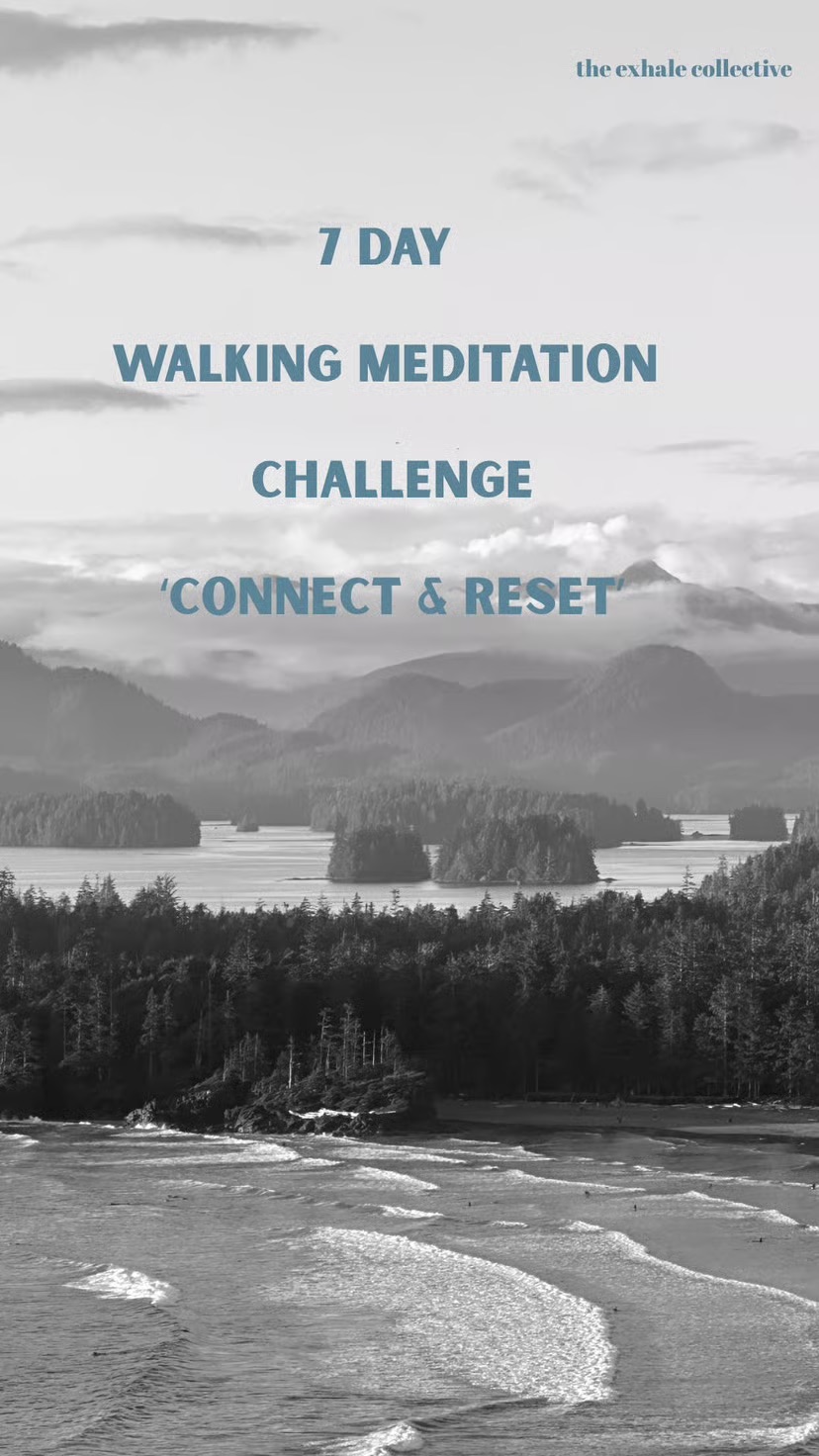 free walking meditation